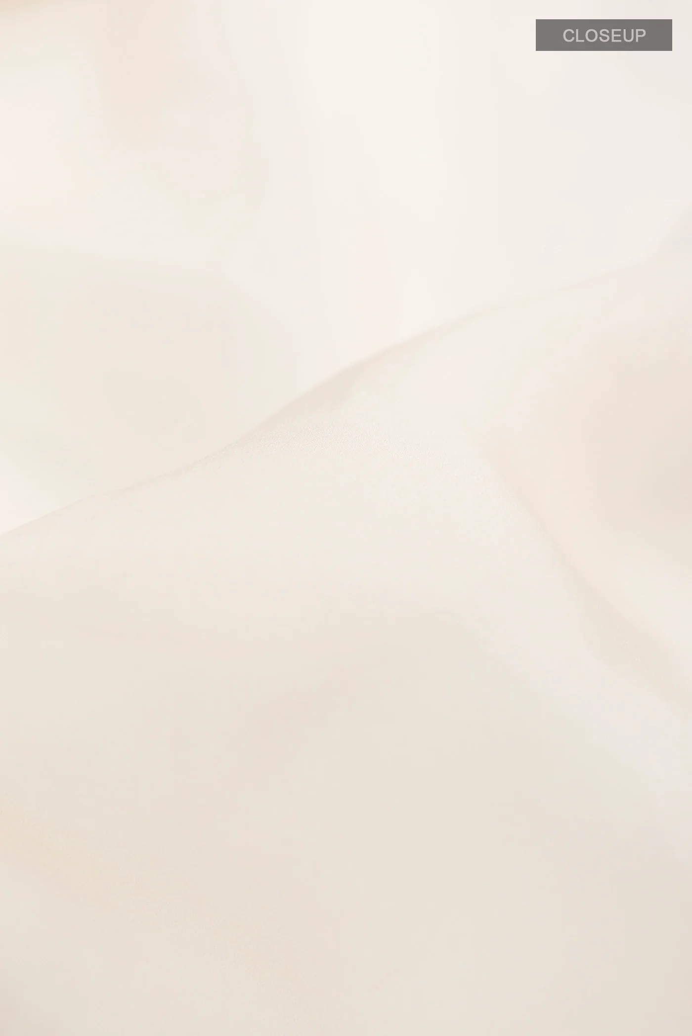 Aboli-Cream Organza Silk Saree - Image 6