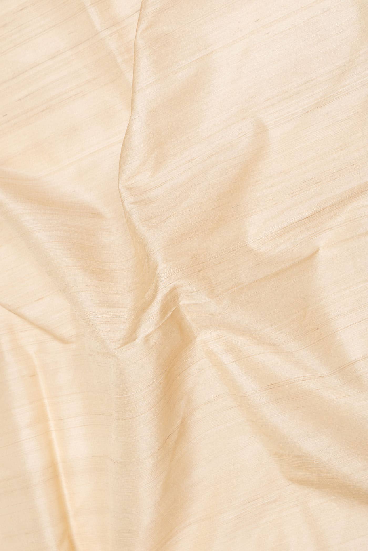 Beige Dual Tone Tussar Silk Saree - Image 3