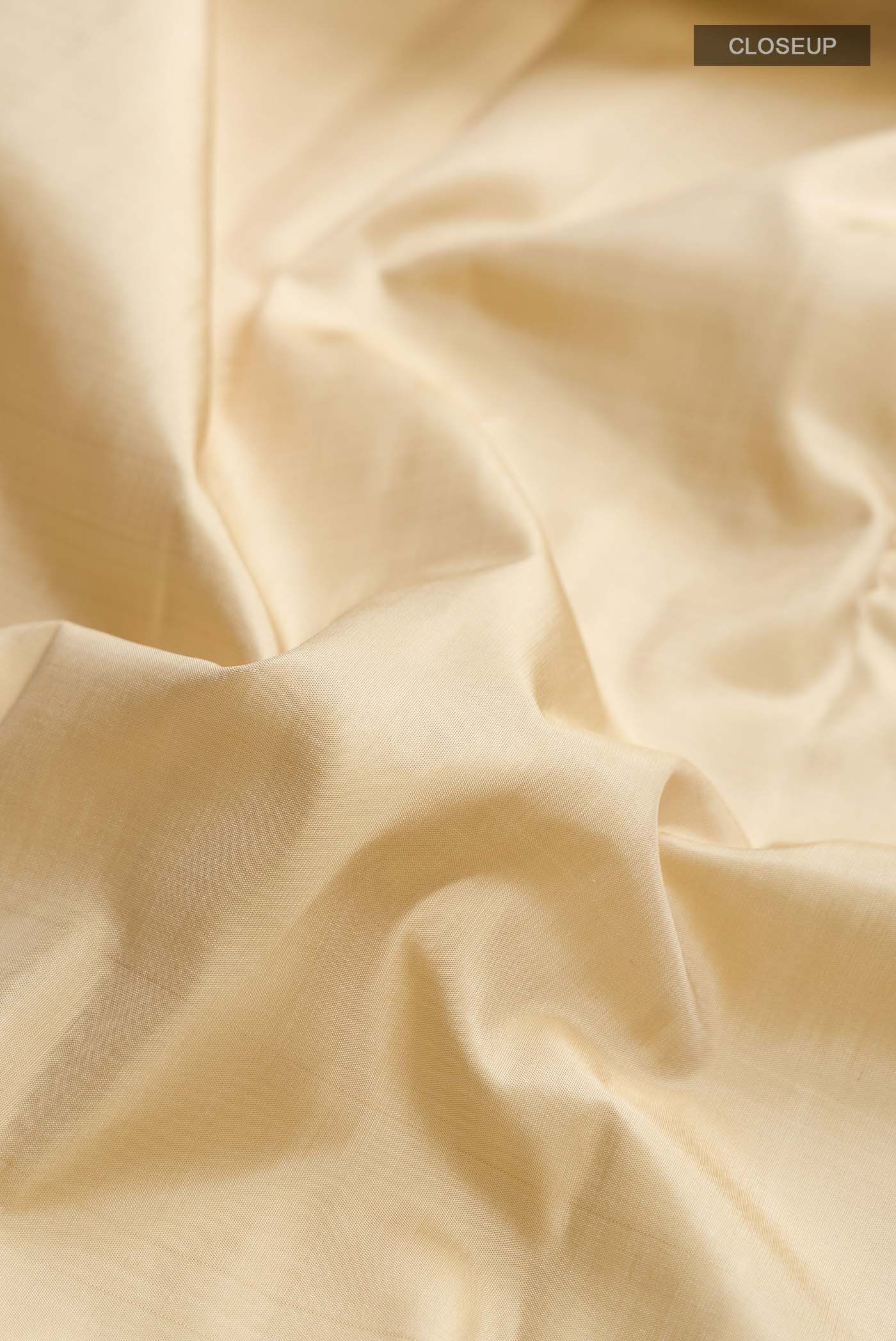 Beige Kanjivaram Silk Saree - Image 2