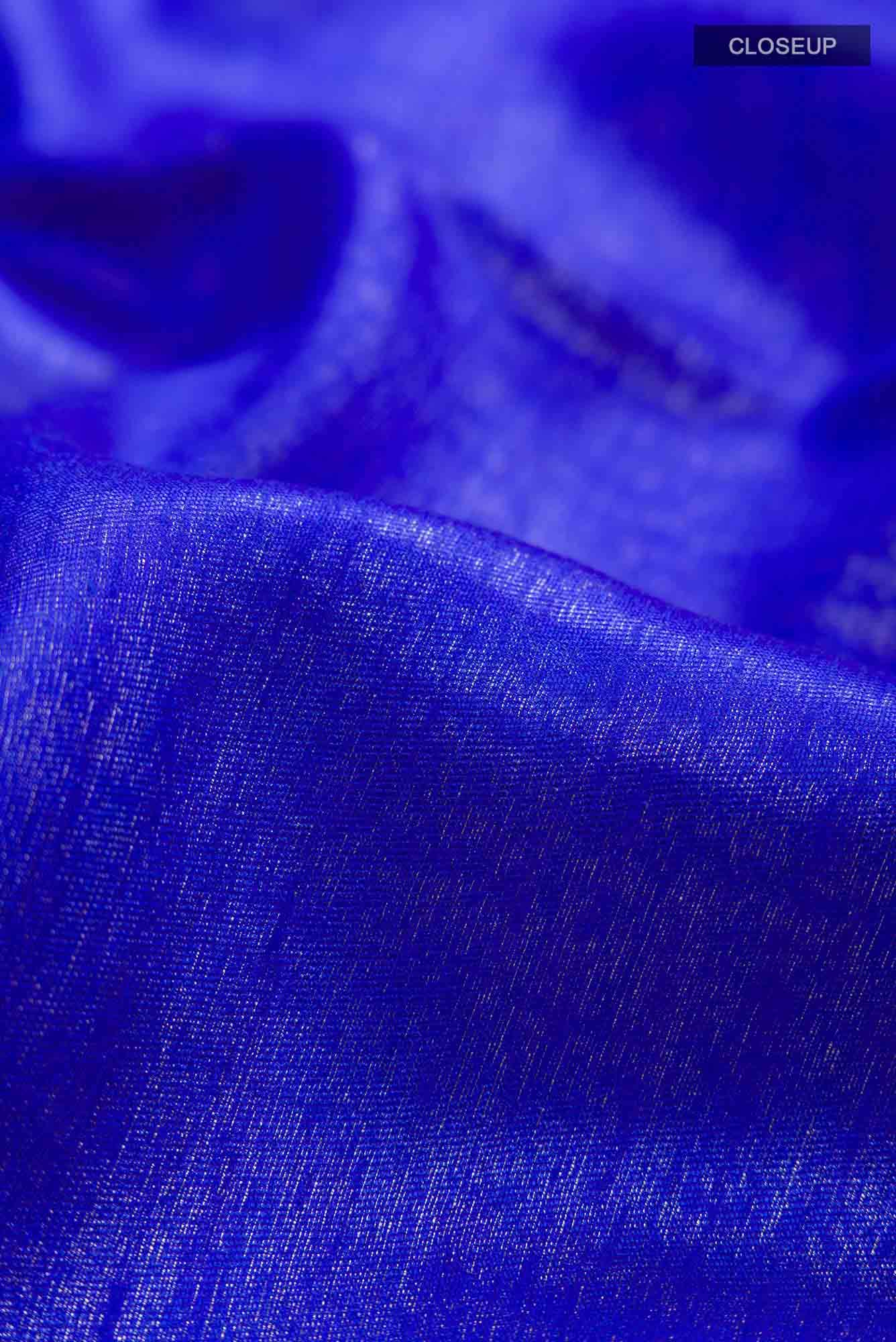 Blue Blended Tussar Silk Saree - Image 3