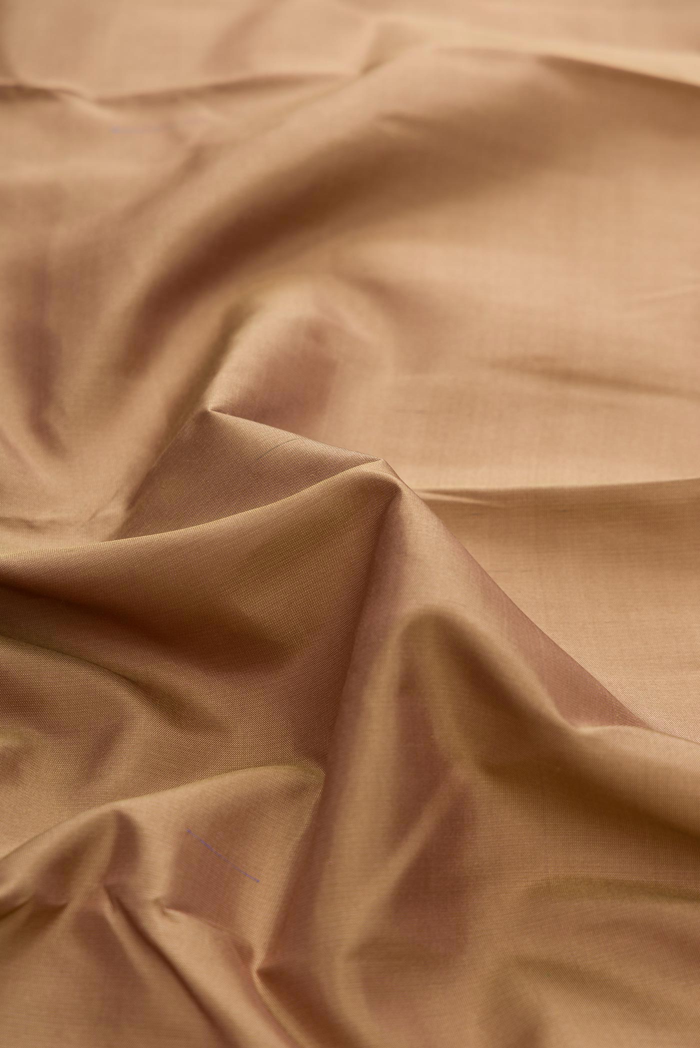 Dark Beige Dual Tone Kanchipuram Silk Saree - Image 2